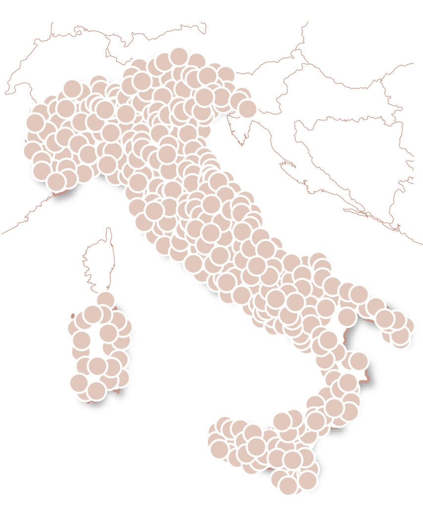 Viva gli sposi - Emozioni