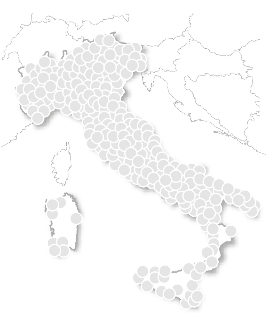 Viva gli sposi - Passioni