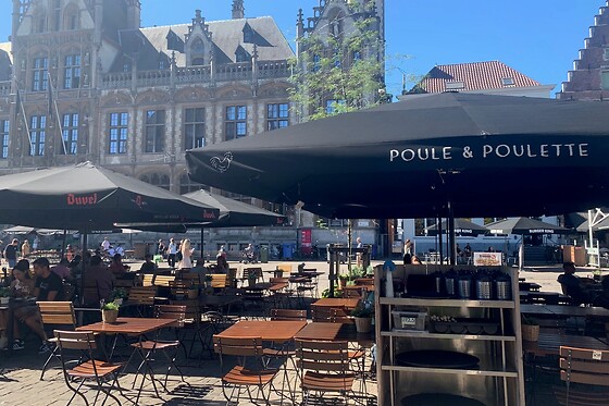 Poule & Poulette Gent (KM11) - photo 8