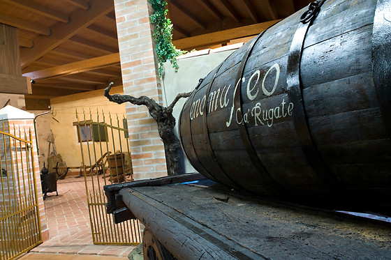 Azienda Agricola Ca' Rugate - photo 4