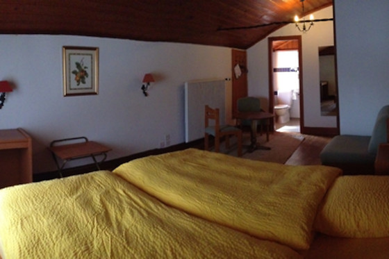 Hotel de la Forclaz - photo 6