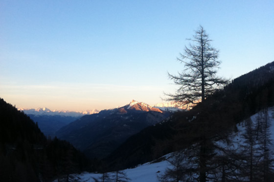 Hotel de la Forclaz - photo 10