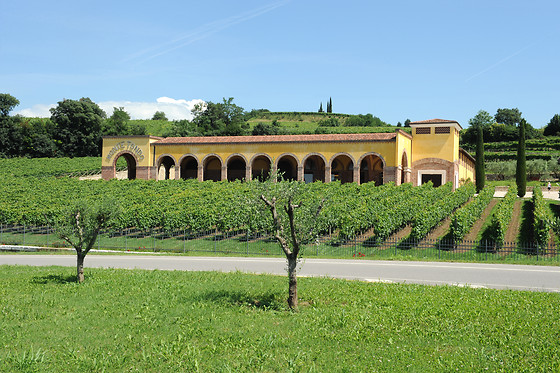 Azienda Agrituristica Montetondo - photo 11