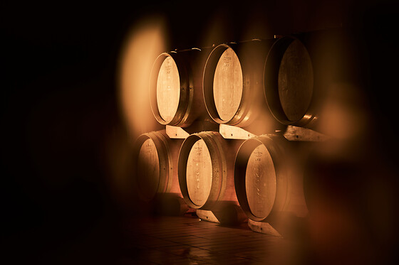Boroli - photo 1