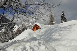 Casa Mini Nel Golf Mini Sulla Collinetta