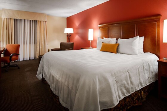 Online Booking EPS - photo 1