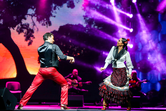 TEATRO FLAMENCO MADRID - photo 8