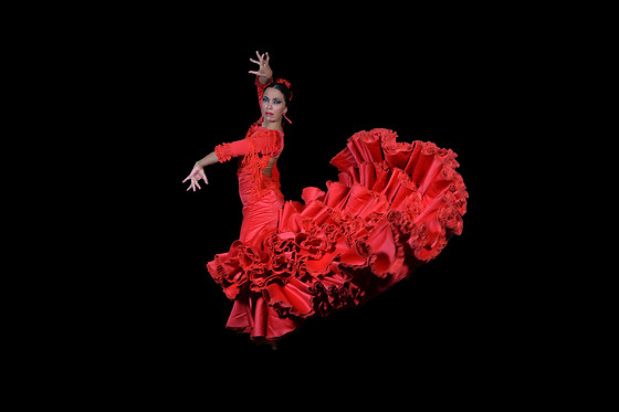 TEATRO FLAMENCO MADRID - photo 9