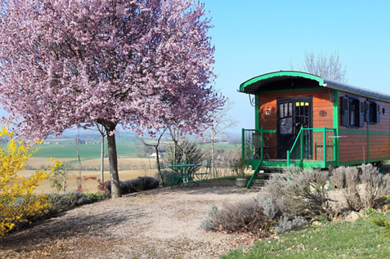 Domaine des Cadets de Gascogne - photo 4