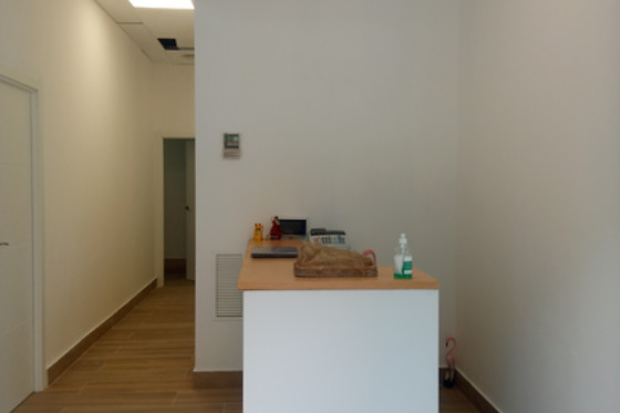 FENIX FUSION ESTETIC CENTER - photo 11