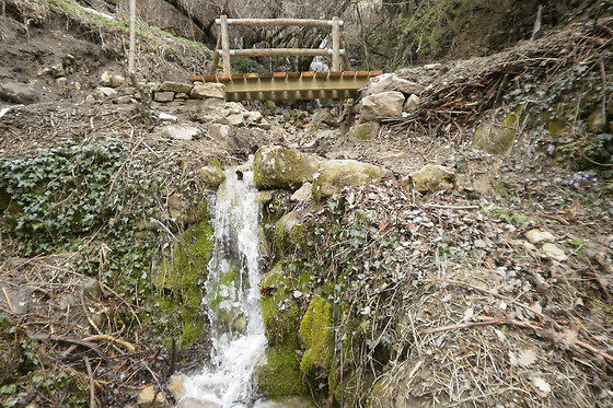 CASA TOMASO - photo 2