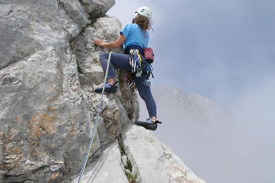 ALPINE PROJECT - photo 3