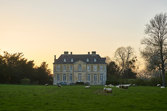 Château d'Audrieu - photo 15