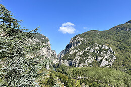 Don Merlino SRL- La Forestale Luxury Ecolodge