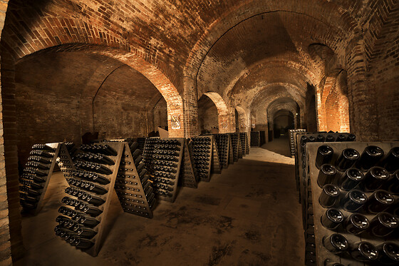 Cantine Bosca - photo 3