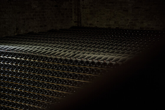 Cantine Bosca - photo 4