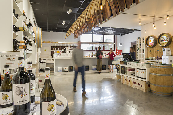 BODEGAS HACIENDA DEL CARCHE - photo 3