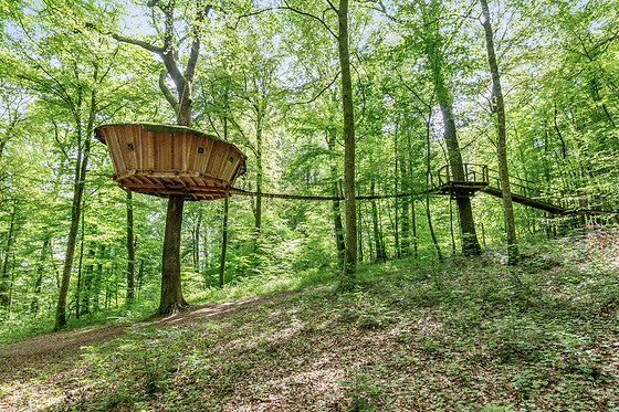 L'Arbre à Cabane - photo 17