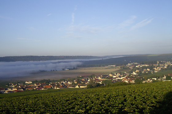 Champagne Pierre Laurent - photo 6