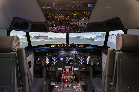 Easy Flight - photo 1