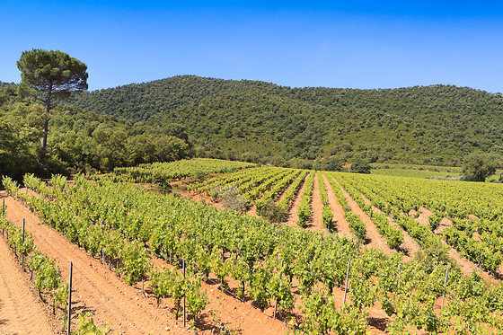 Domaine de la Portanière - photo 0