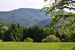 Ferme SAXERMATT