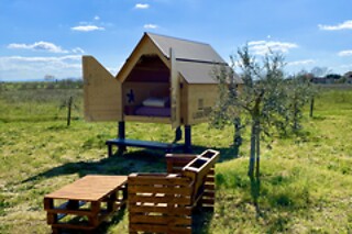 Soggiorno insolito di una notte in Starsbox presso Agricamping Spineta in provincia di Arezzo