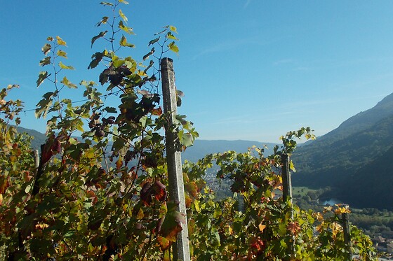 Ognissanti - photo 2