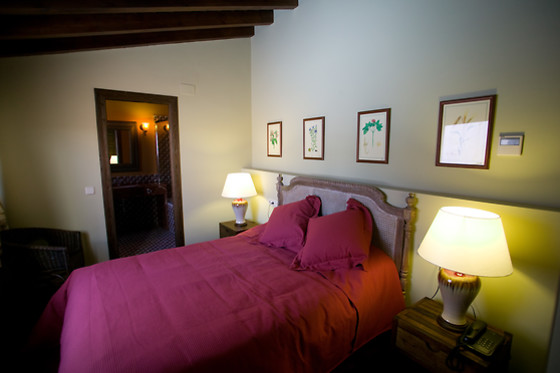 HOTEL SPA LA CASA DEL CONVENTO - photo 24