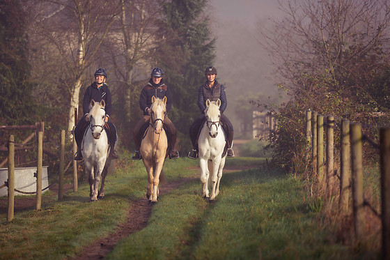 Haras du Loup - photo 1