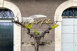 Collis Petri Relais