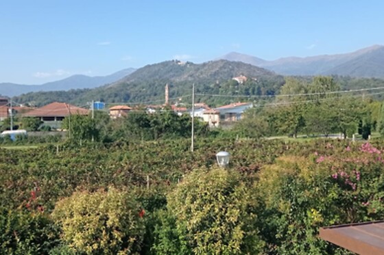 Terre del Creario - photo 1