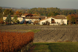 Du Coté Vignes
