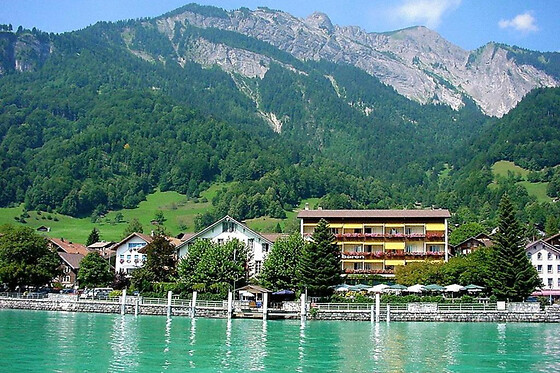 Seehotel Bären - photo 5