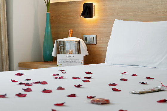 HOTEL ARECA - photo 4