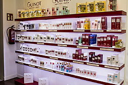 INSTITUTO GUINOT MADRID RETIRO