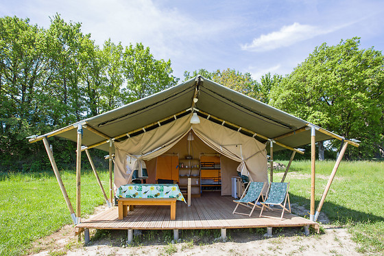 Les Anes de Forcalquier - photo 7