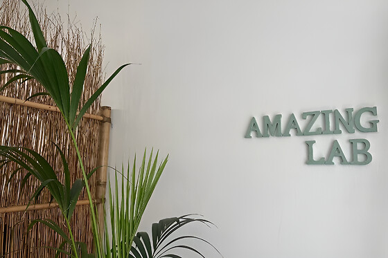 Amazing Lab - photo 1