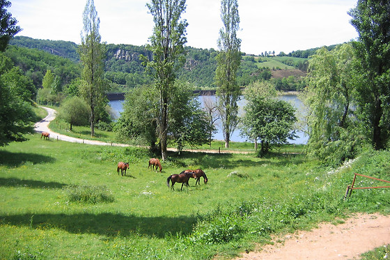 Ferme du Lac - photo 4