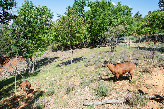 La Colline des Ocres - photo 11