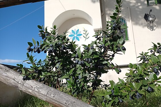 Villa Mazza al Vesuvio - photo 2