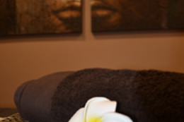 Mons Institut Zen