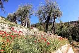 La Bastide Isnard