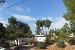 LE BOIS DE PINS