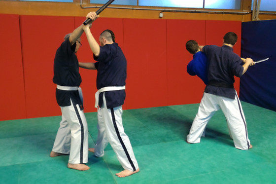 Nord Shogun - Arts Martiaux Faches Thumesnil - photo 1