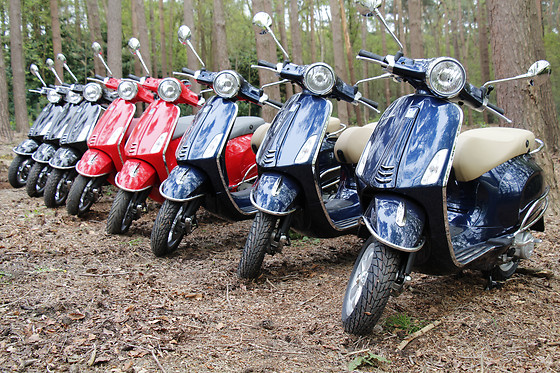 Vespa Waasland - photo 0