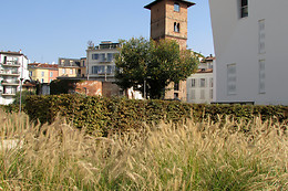 Federica - The Courtyard Hunter