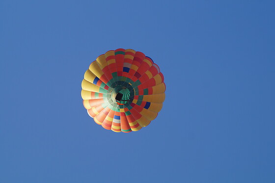 Ptiote vadrouille - photo 1