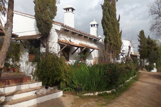 CORTIJO EL BERROCAL - photo 2