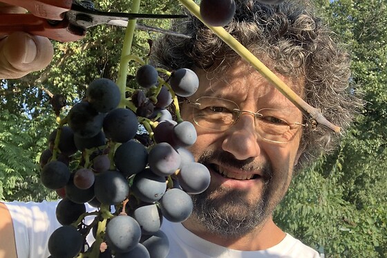Cantina La pesenata - photo 3
